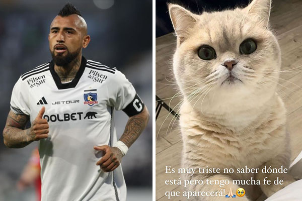 Arturo Vidal