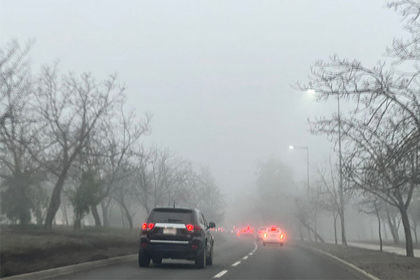 Colina niebla