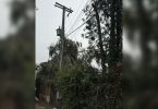 Lo Arcaya