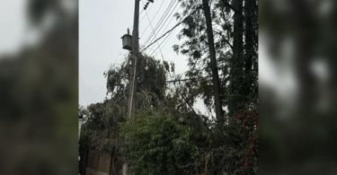 Lo Arcaya
