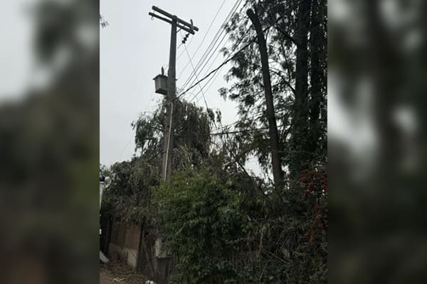 Lo Arcaya