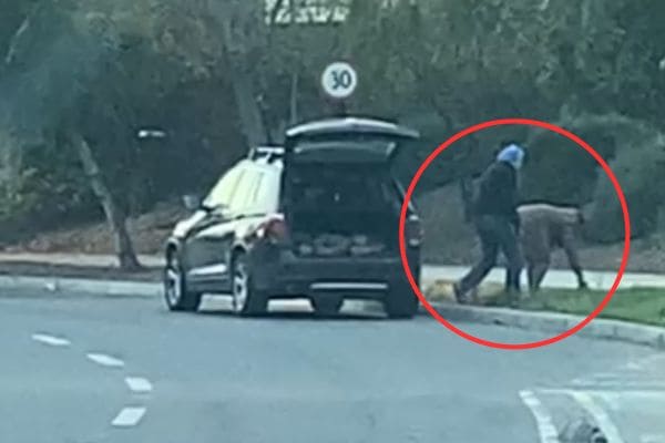 Chicureo robo de piedras Corte de Apelaciones