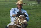 Felipe Camiroaga