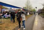 Fiestas Patrias Colina
