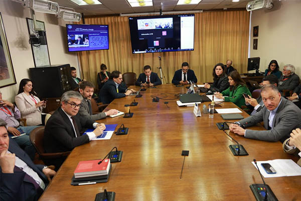 proyecto subsidio eléctrico