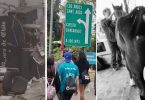 resumen-semanal-chh