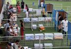 resultados Colina