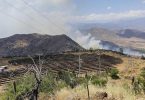 incendio forestal Tiltil