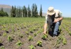 cambio climático