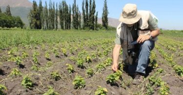 cambio climático