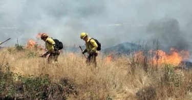 Incendio en pastizales