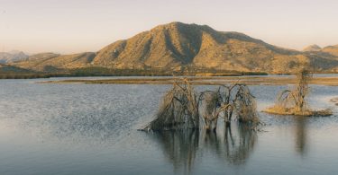 Día Mundial de los Humedales