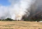 incendio forestal Tiltil