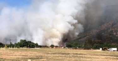 incendio forestal Tiltil