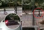 robo en Huechuraba