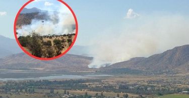 Incendio forestal Batuco