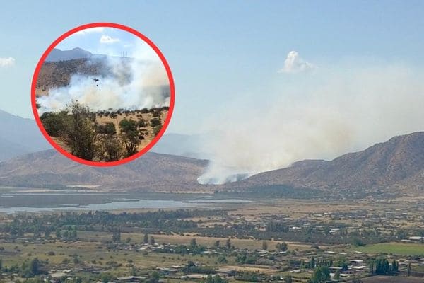 Incendio forestal Batuco