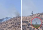 incendio forestal Manzano