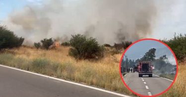 Incendio forestal en Lampa