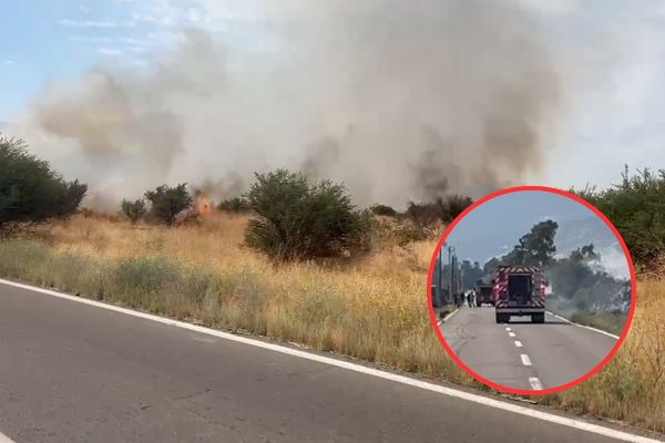 Incendio forestal en Lampa