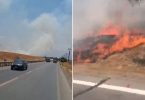 incendios forestales