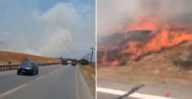 incendios forestales