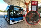 Buses eléctricos