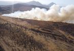 Incendio forestal Peldehue