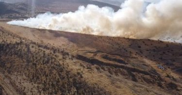 Incendio forestal Peldehue