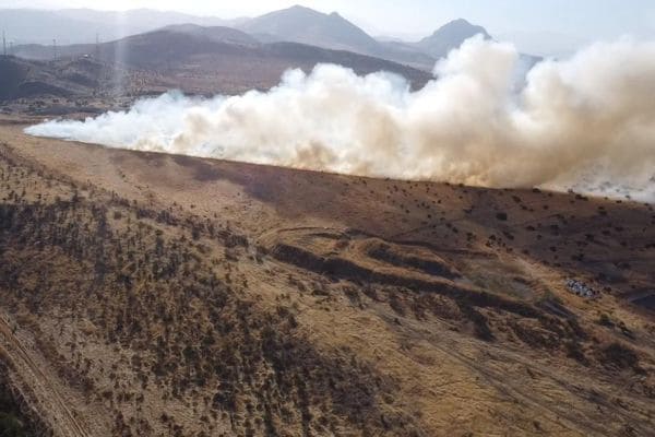 Incendio forestal Peldehue