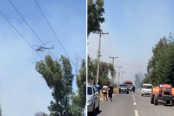 incendio Peralillo