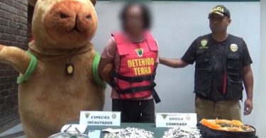Policía de Perú