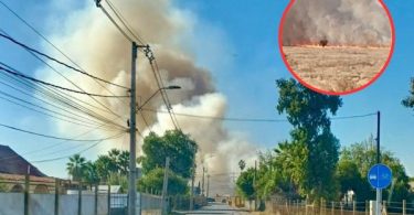 incendio forestal Lampa