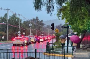 Foto: Chicureo Hoy