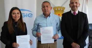 Libélula