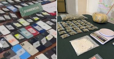 persa Bio Bío