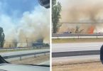 Bomberos de Colina incendio