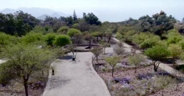 Parque Botánico Quilapilun