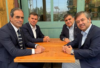 Diputados electos Distrito 8