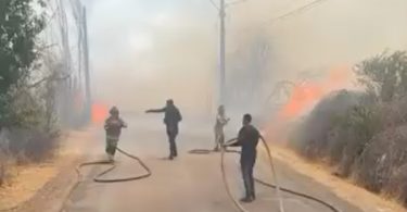 [AHORA] Gran despliegue