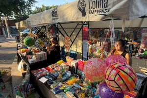 Feria navideña Colina