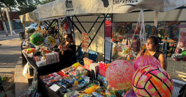 Feria navideña Colina