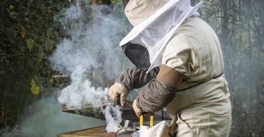 sector apícola incendios forestales 29/12/25