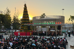 árbol de navidad colina 2025