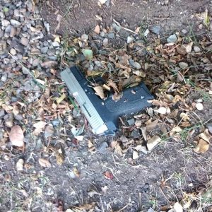 huyeron en auto de la familia