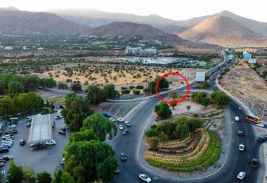 [A PLENA LUZ DEL DIA]