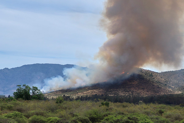 Declaran Alerta Roja en Zapallar y La Ligua