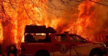 incendios en la Patagonia argentina