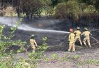 incendio forestal en Lampa