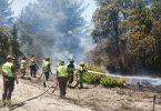 incendios forestales en el centro-sur